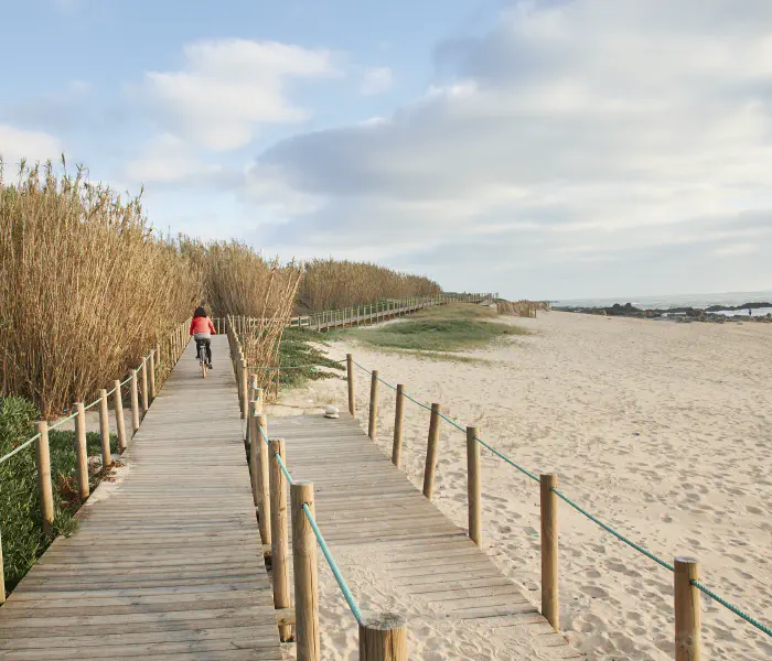 Wooden walkways along the shoreline